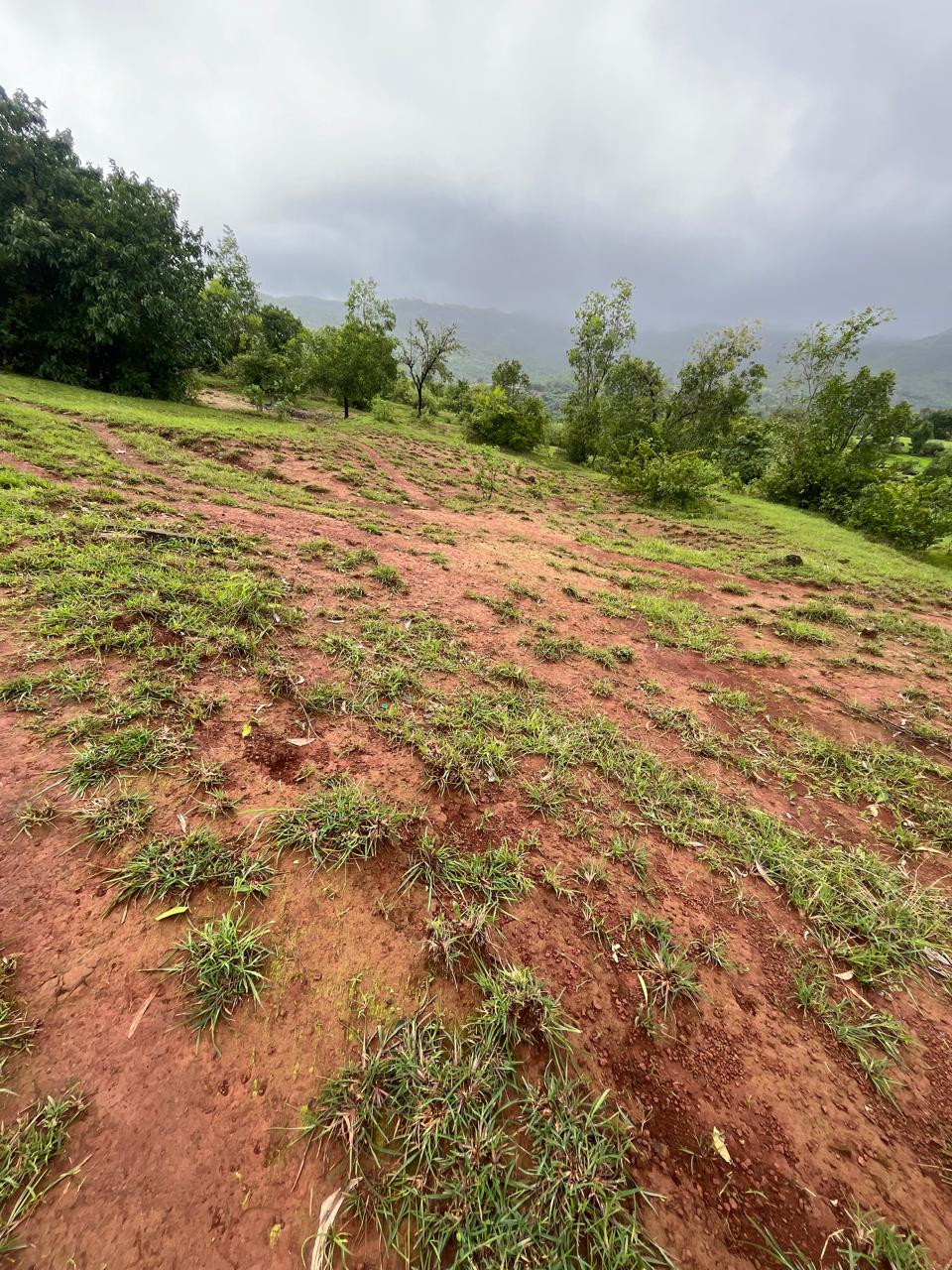 2 Acres Agriculture Land Available for sale in Devghar Pune